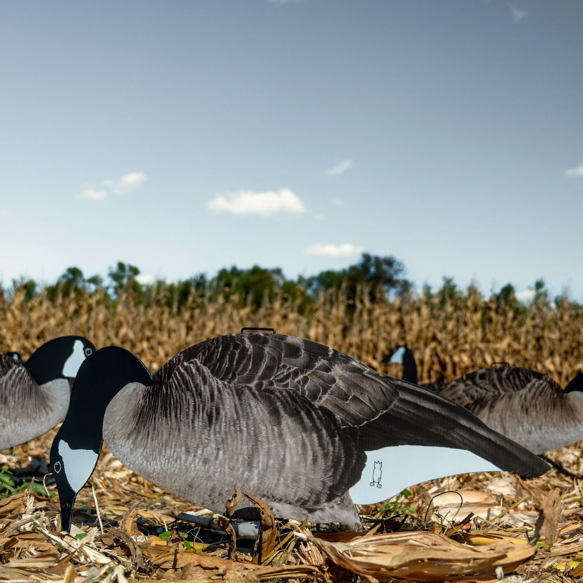 V2 Canada Goose Silhouettes - Image 3