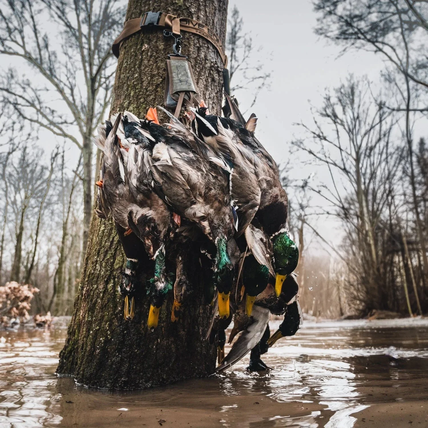 Duck Hunting Tree Strap - Image 3