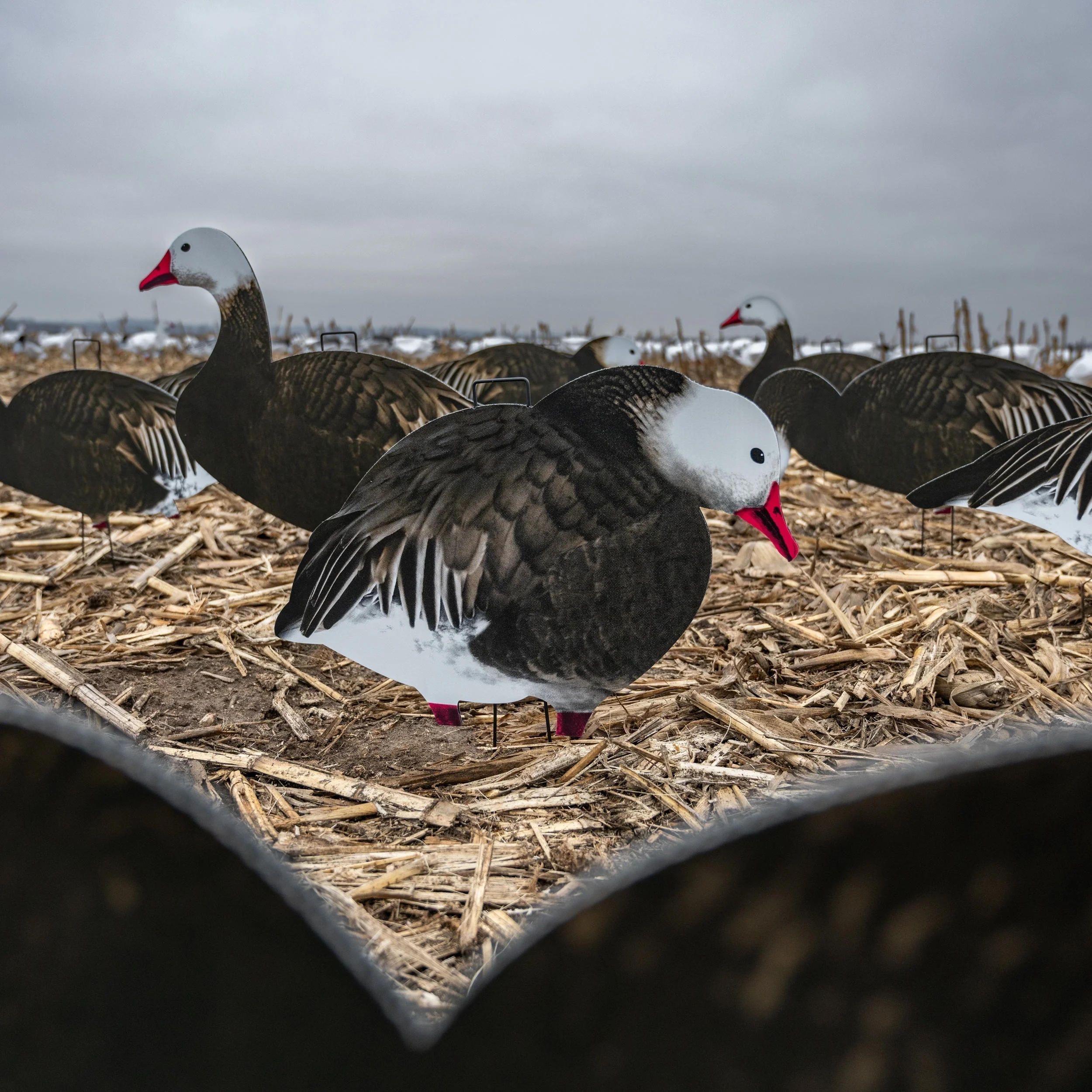 V2FF Fully Flocked Blue Goose Silhouettes - Image 3