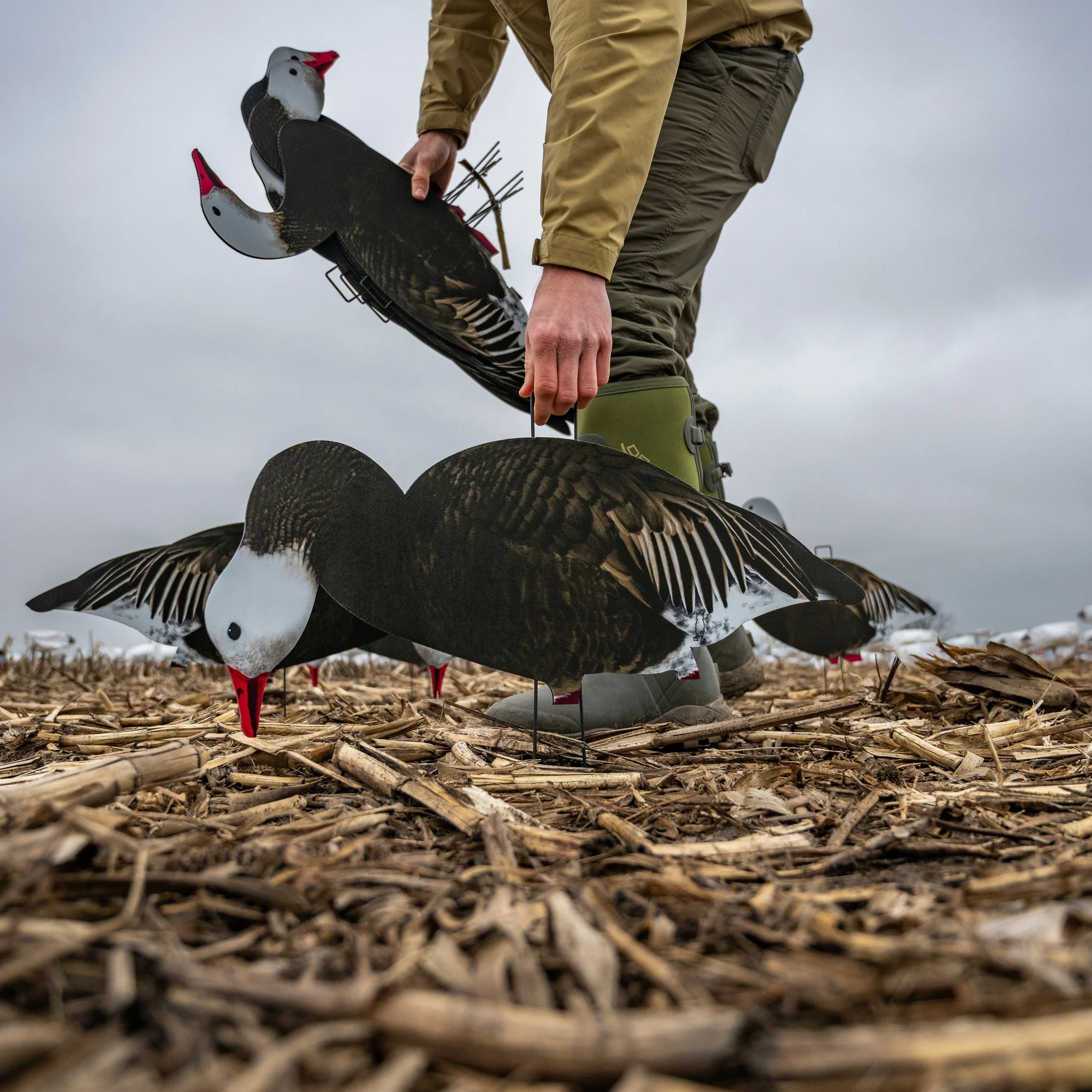 V2FF Fully Flocked Blue Goose Silhouettes - Image 6