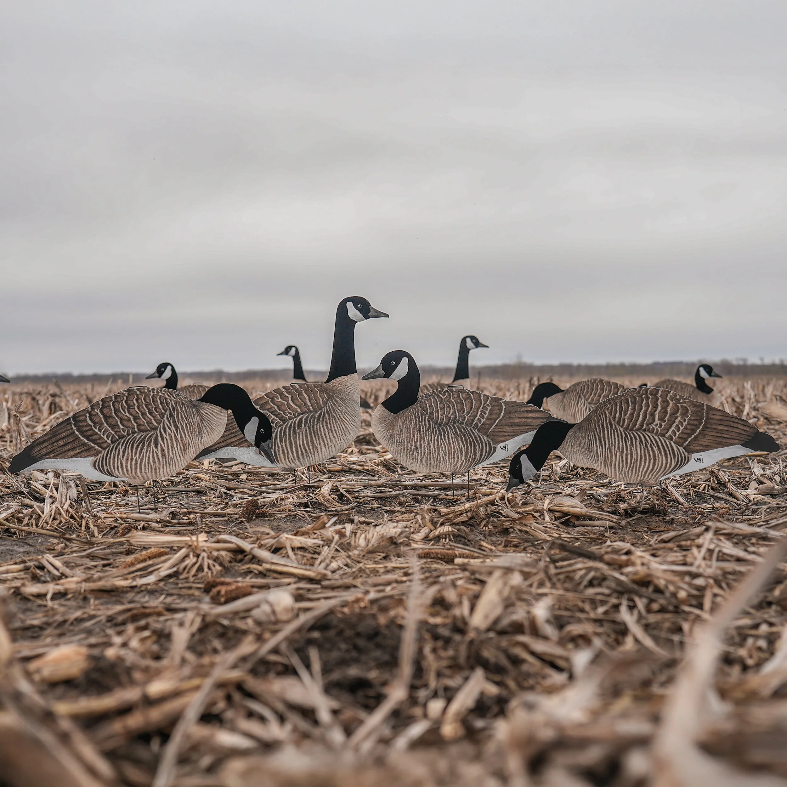 V3FF Fully Flocked Canada Silhouettes - Image 2
