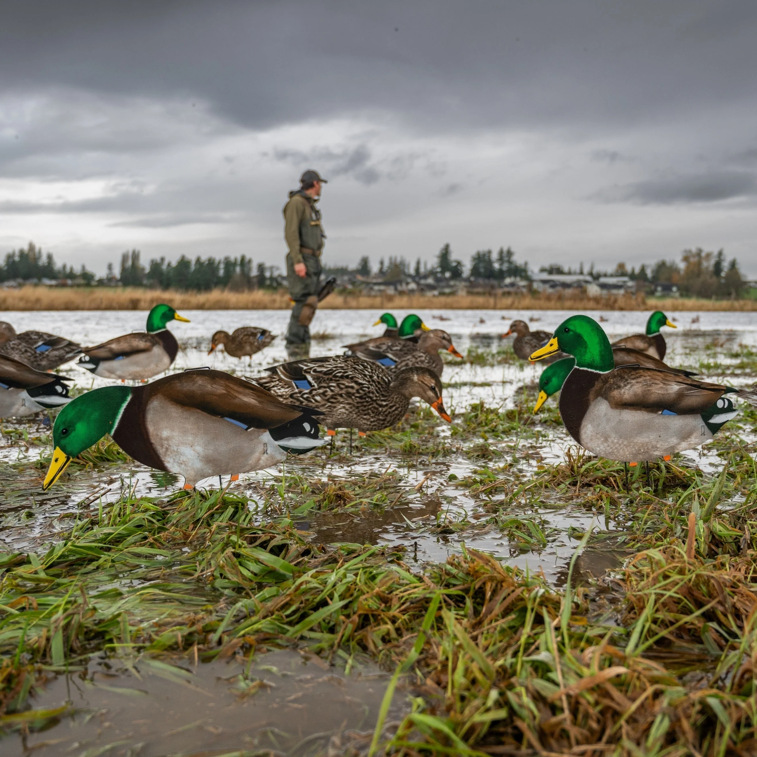 M1FF Fully Flocked Mallard Silhouettes - Image 3