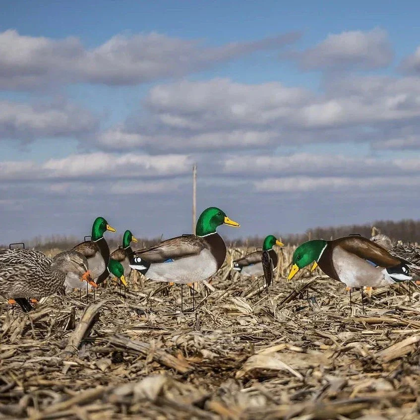 M1FF Fully Flocked Mallard Silhouettes - Image 4