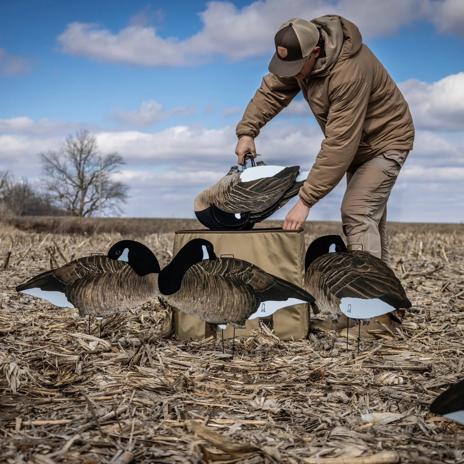 V2FF Fully Flocked Sleeper Canada Goose Silhouettes - Image 3