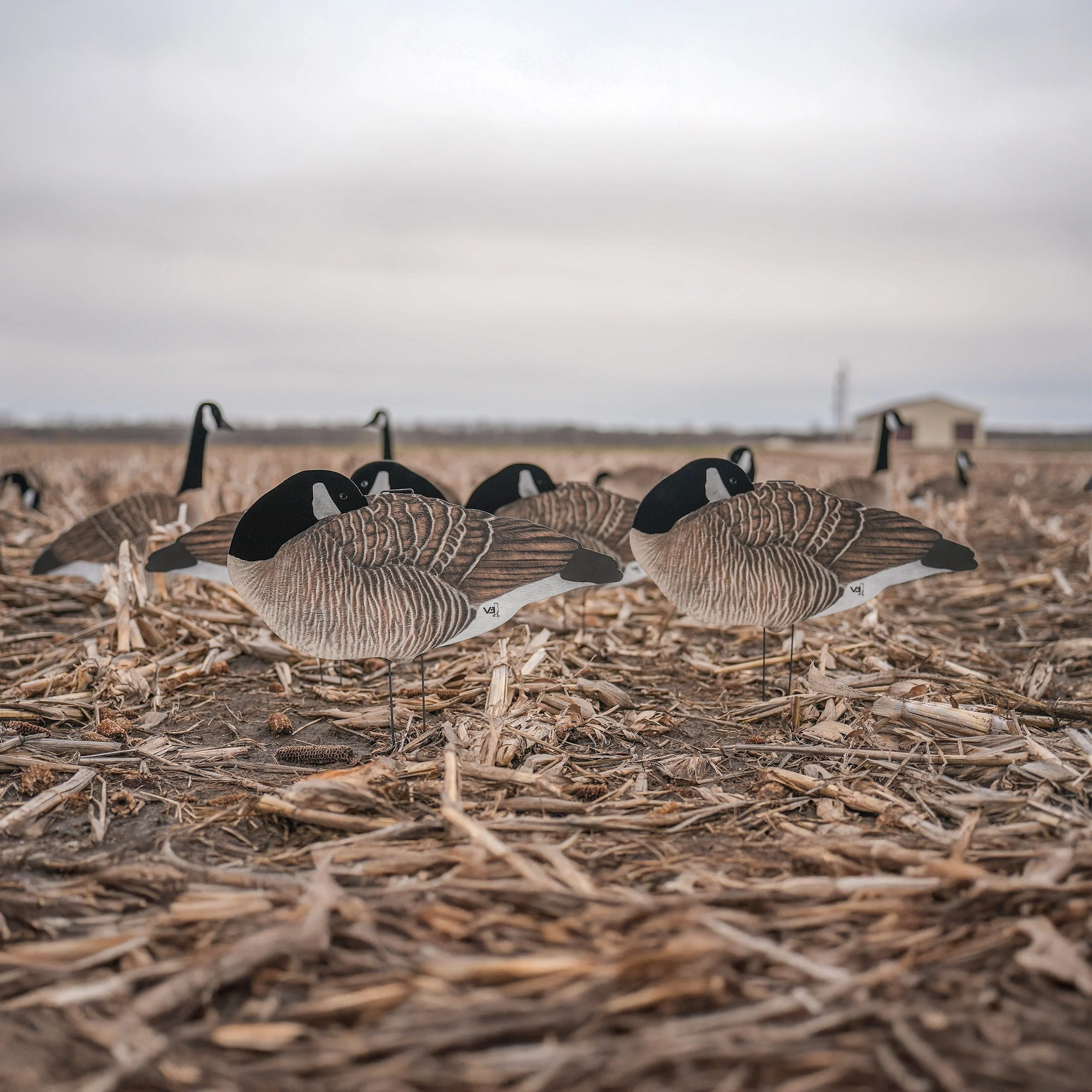 V3FF Fully Flocked Sleeper Canada Silhouettes - Image 3