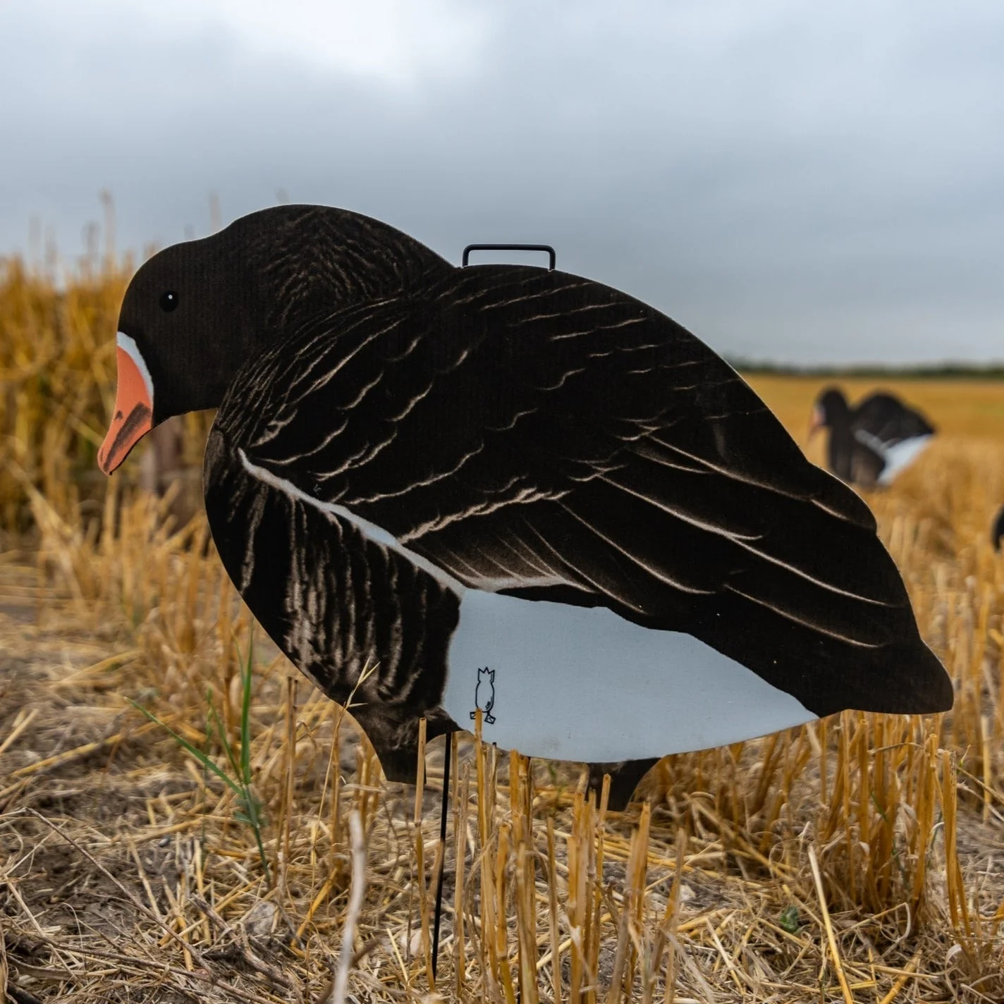 V2FF Fully Flocked Specklebelly Goose Silhouettes - Image 4