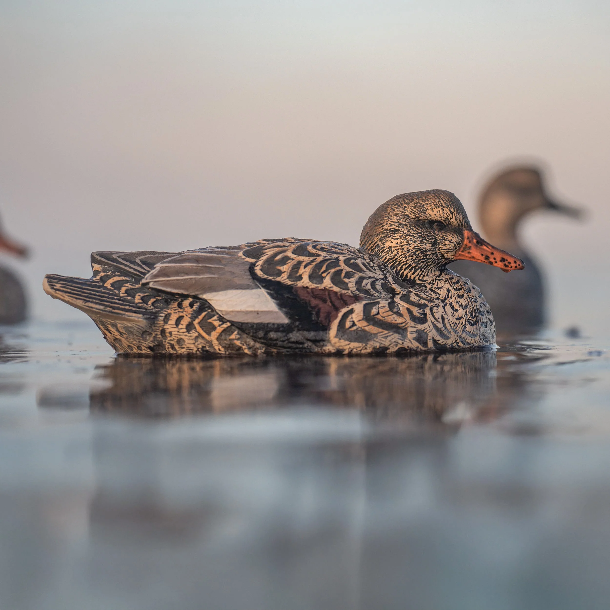 F1 Gadwall Floaters - Image 4
