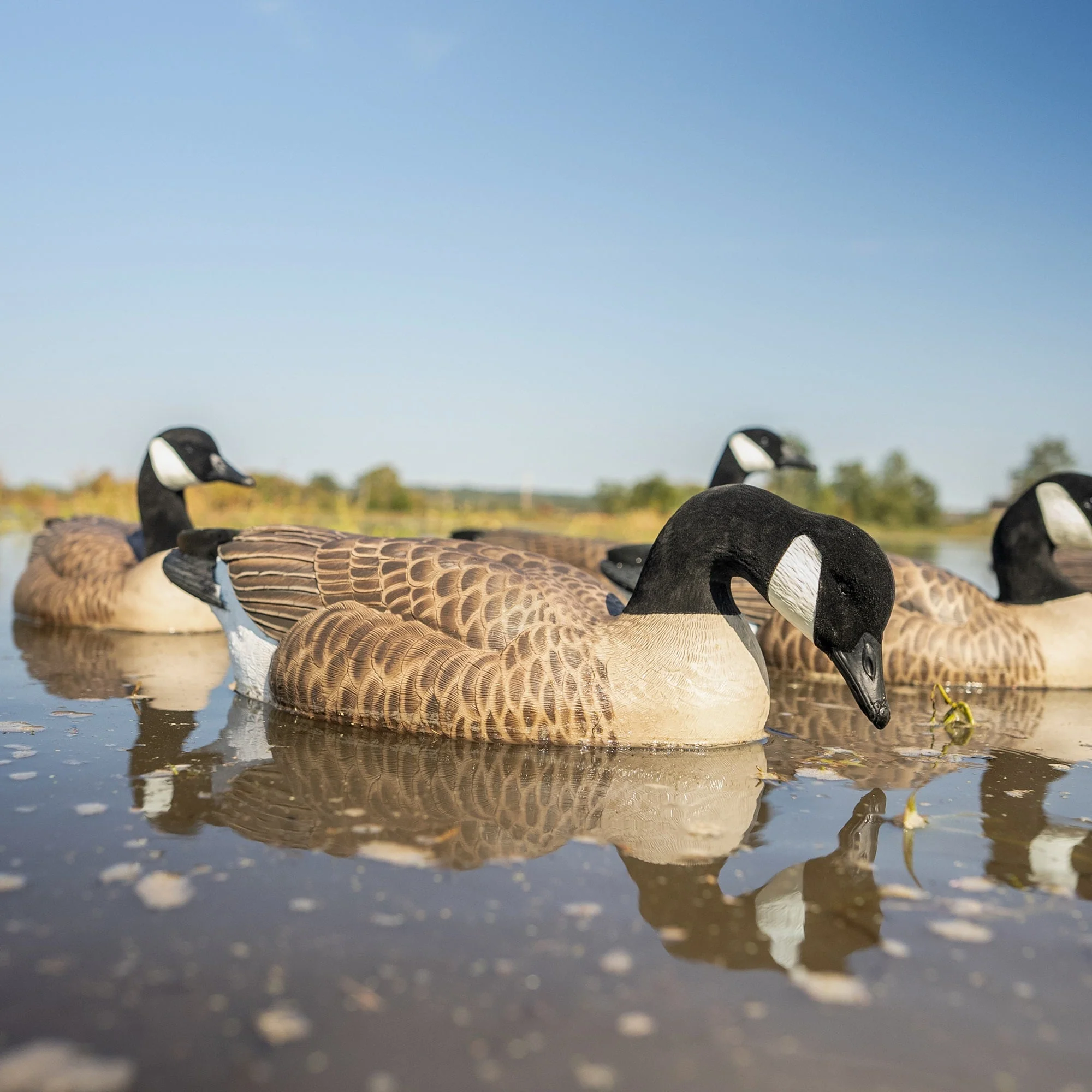 F1 Flocked Canada Goose Floaters - Image 3