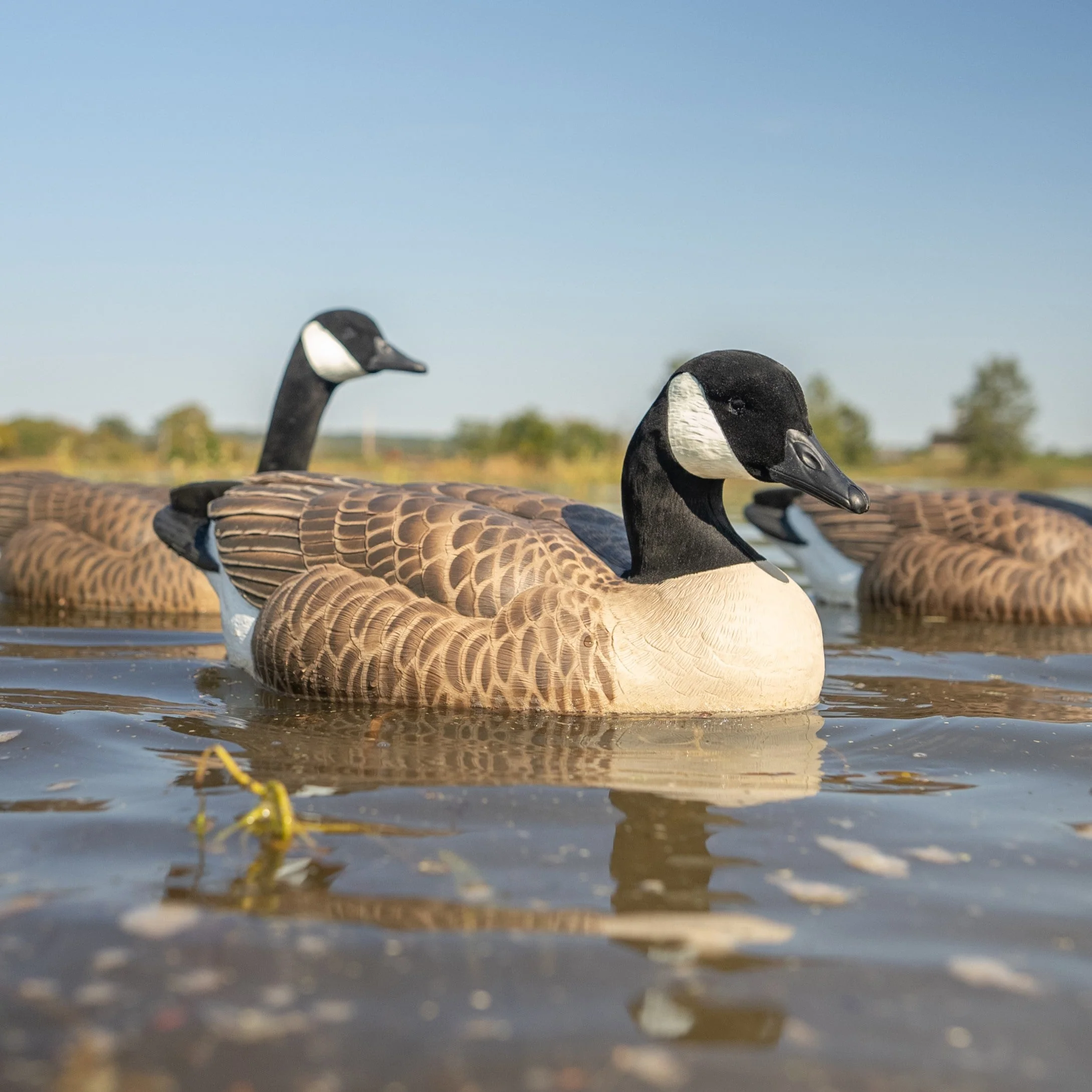 F1 Flocked Canada Goose Floaters - Image 4