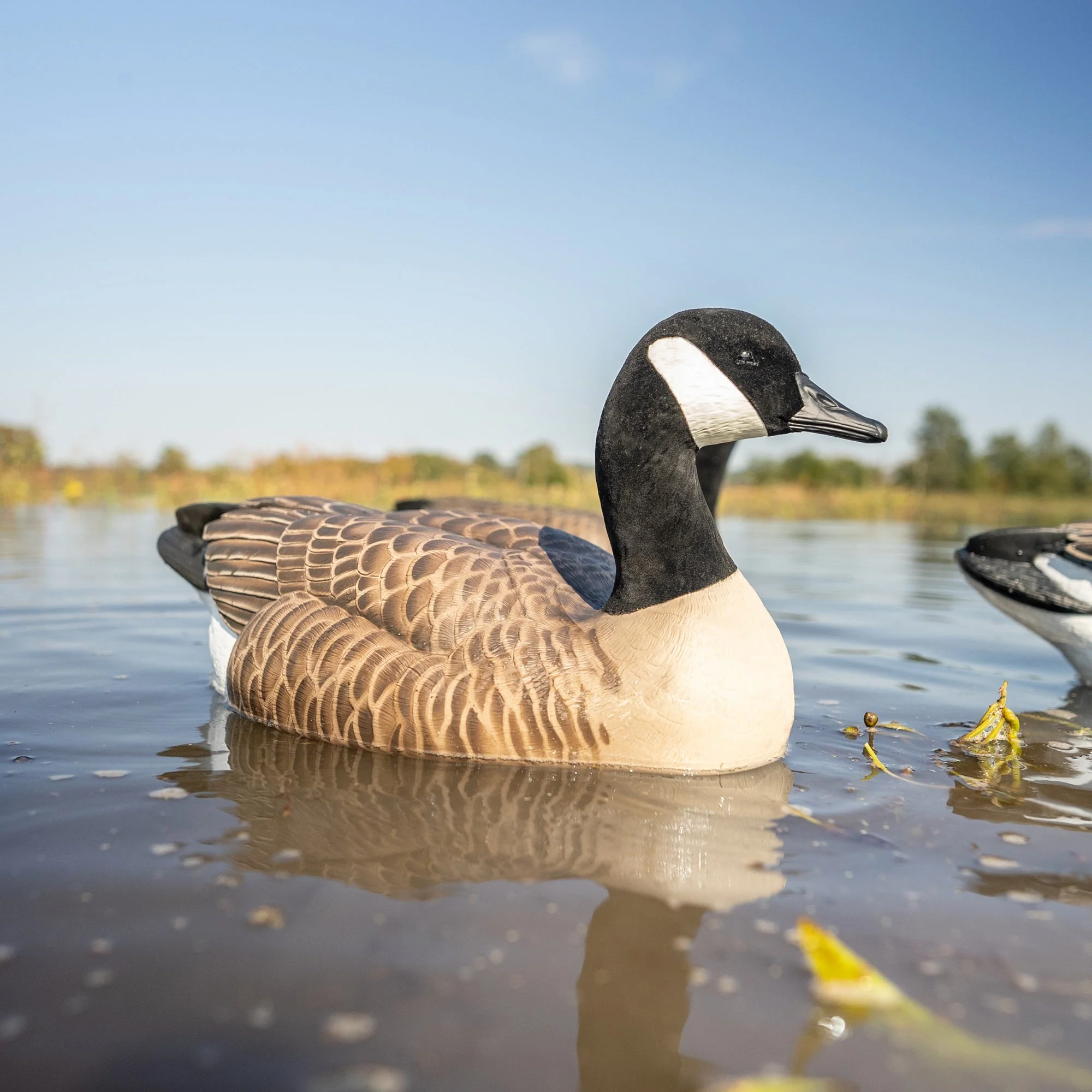 F1 Flocked Canada Goose Floaters - Image 5