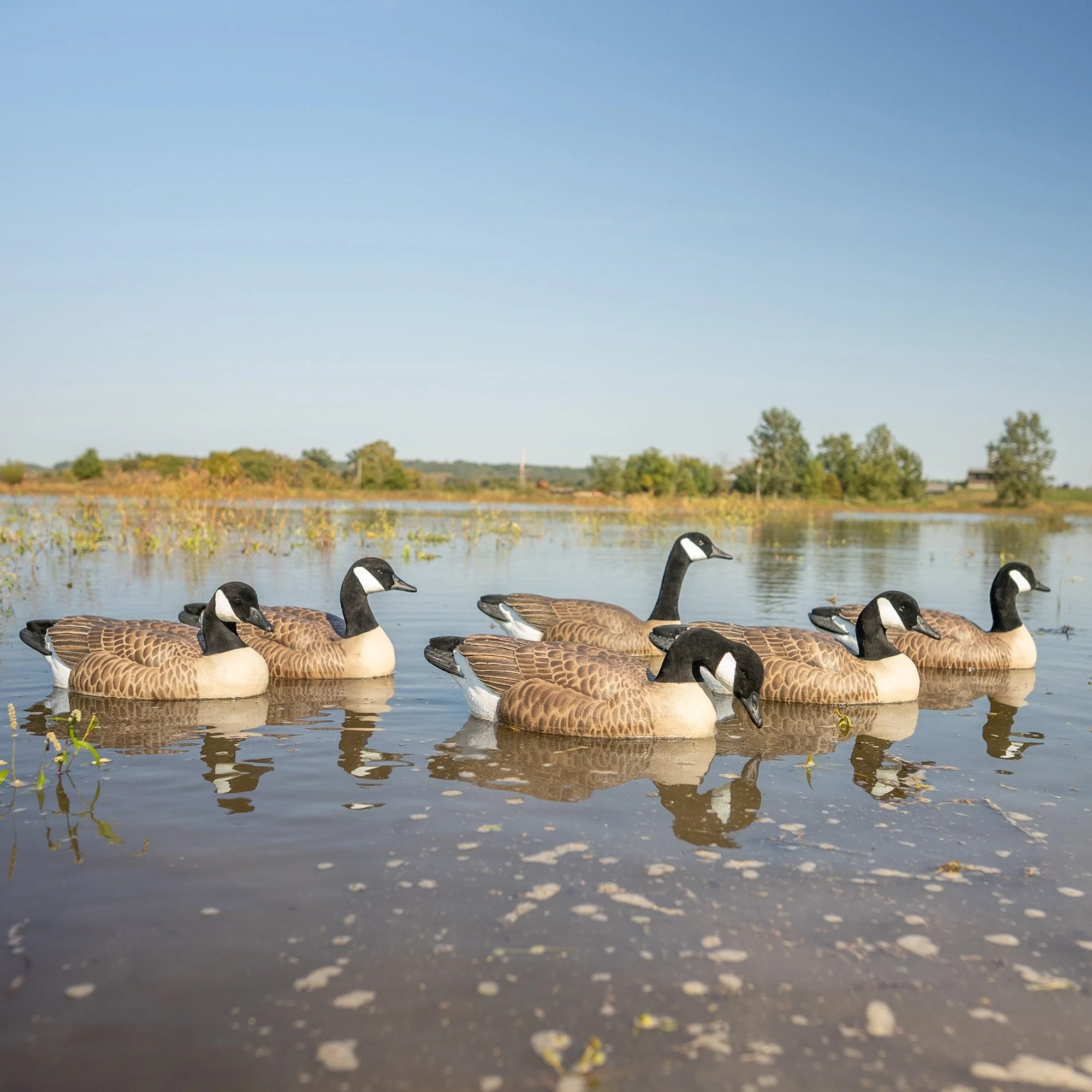 F1 Flocked Canada Goose Floaters - Image 7