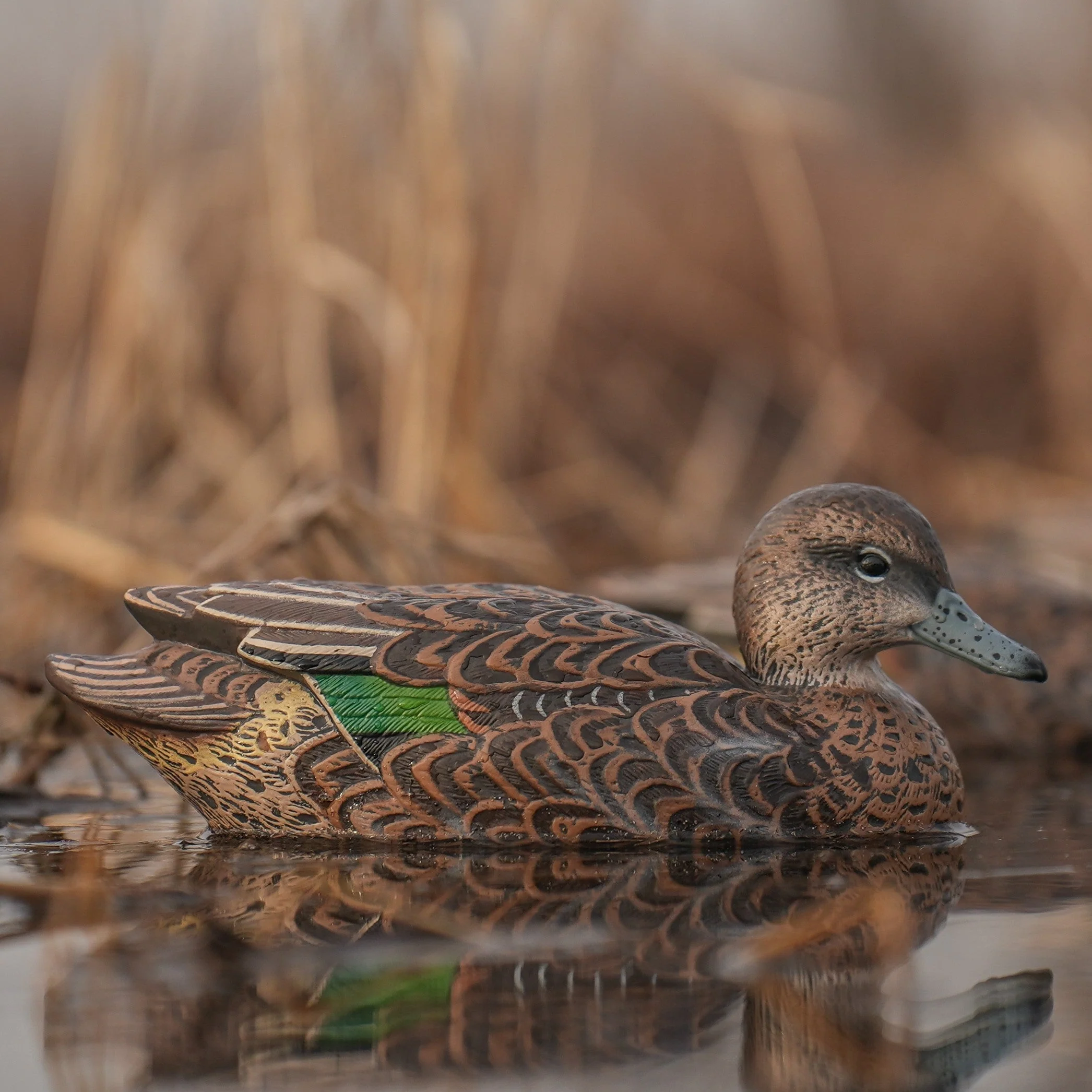F1 Green-winged Teal Floaters - Image 3