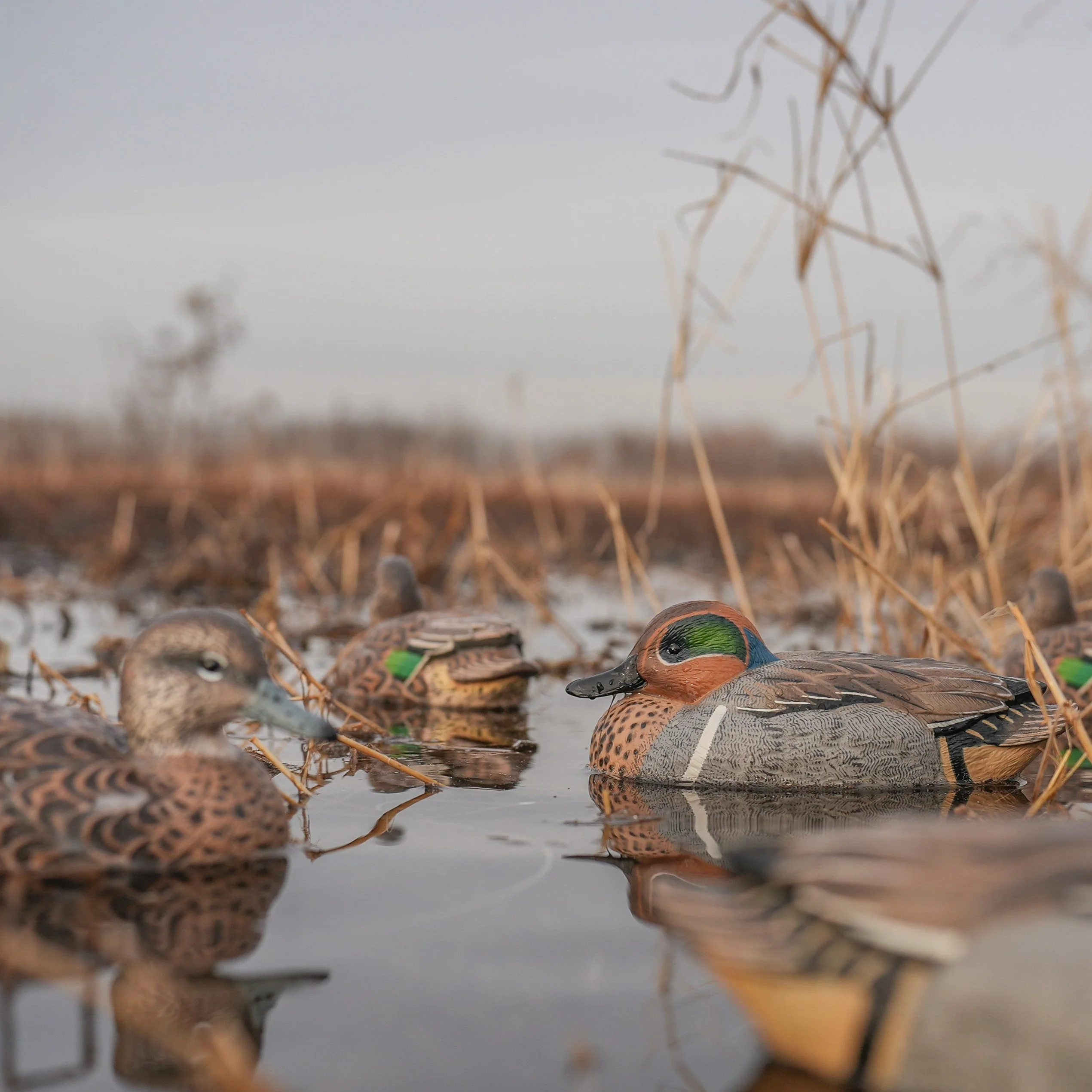 F1 Green-winged Teal Floaters - Image 5
