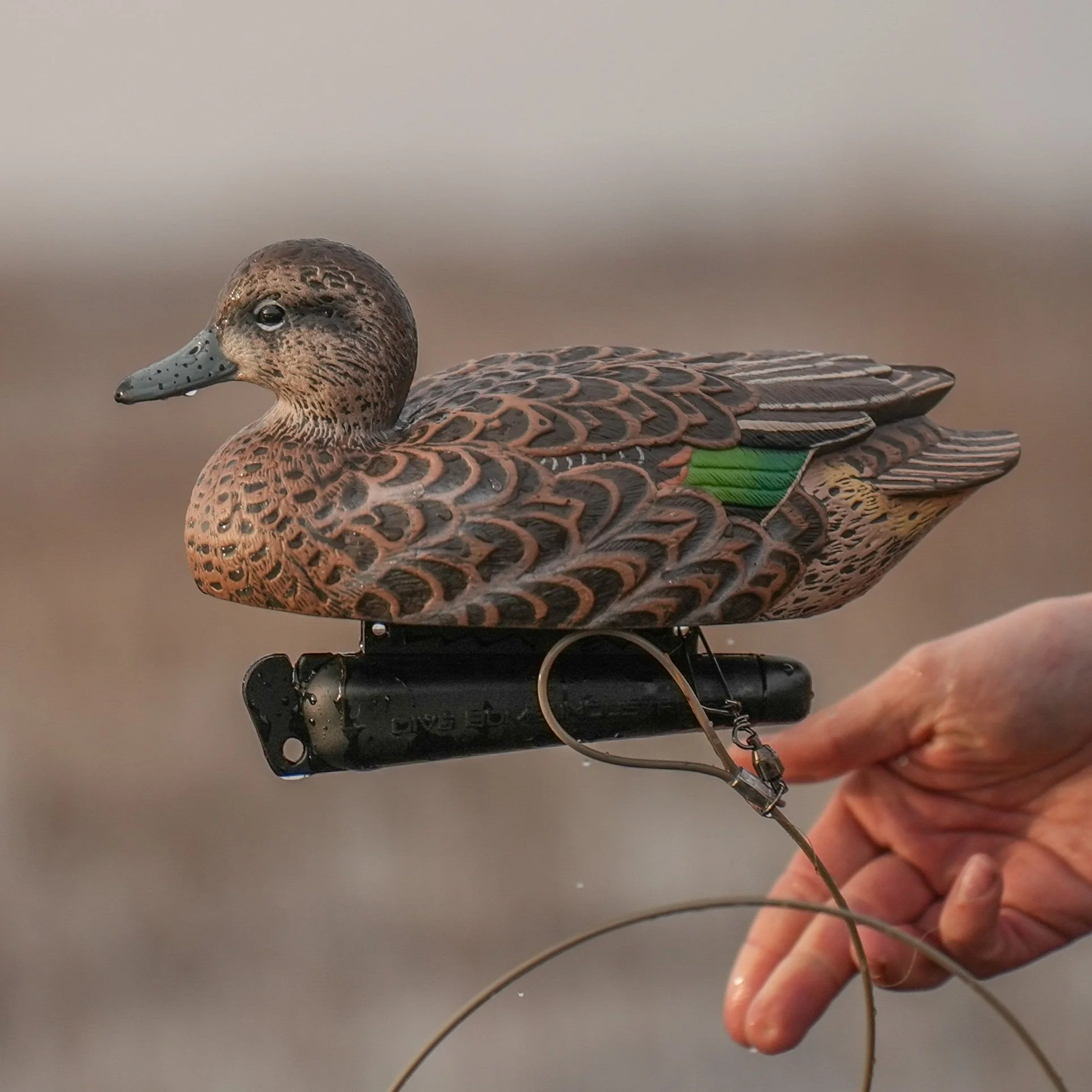 F1 Green-winged Teal Floaters - Image 6