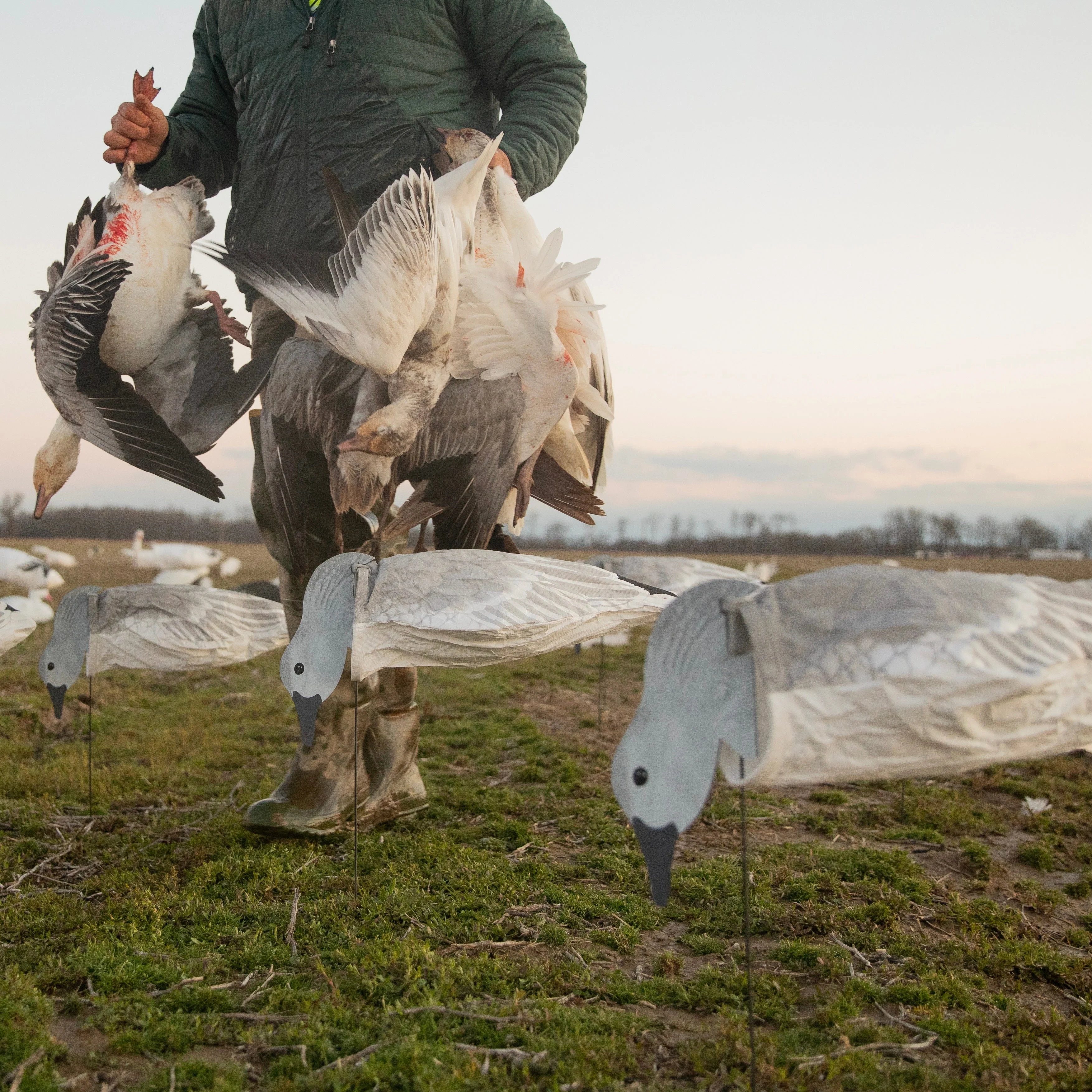 S3i Juvie Goose Socks - Image 4
