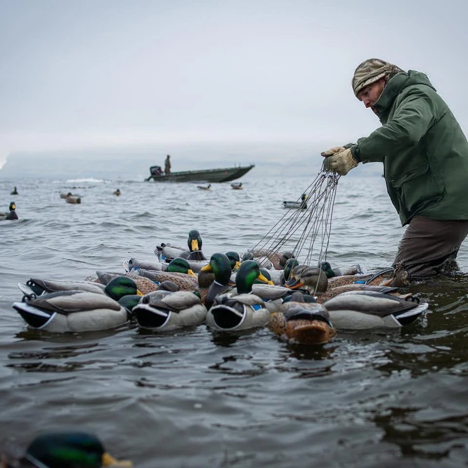 F1 Mallard Floaters - Image 4