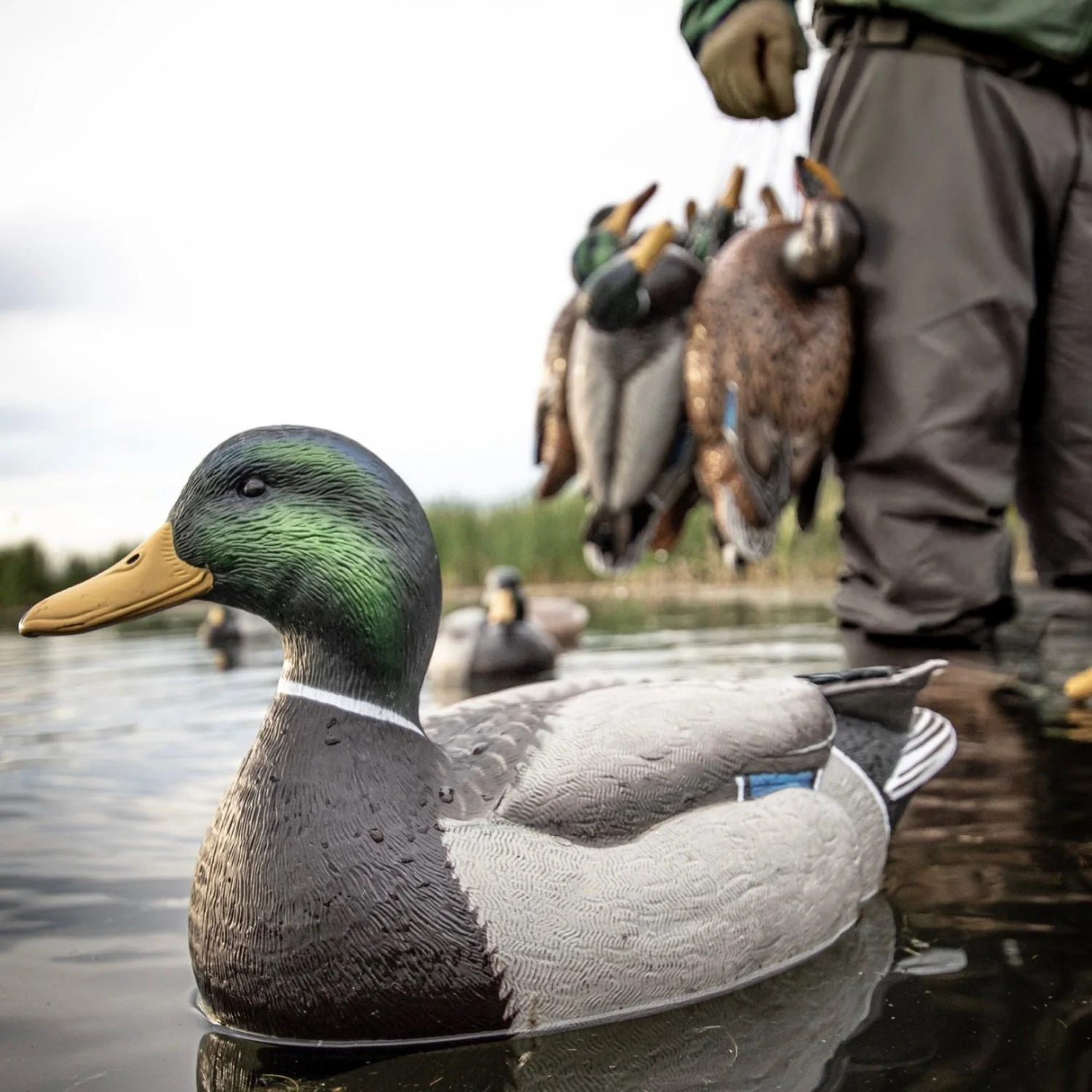 F1 Mallard Floaters - Image 8