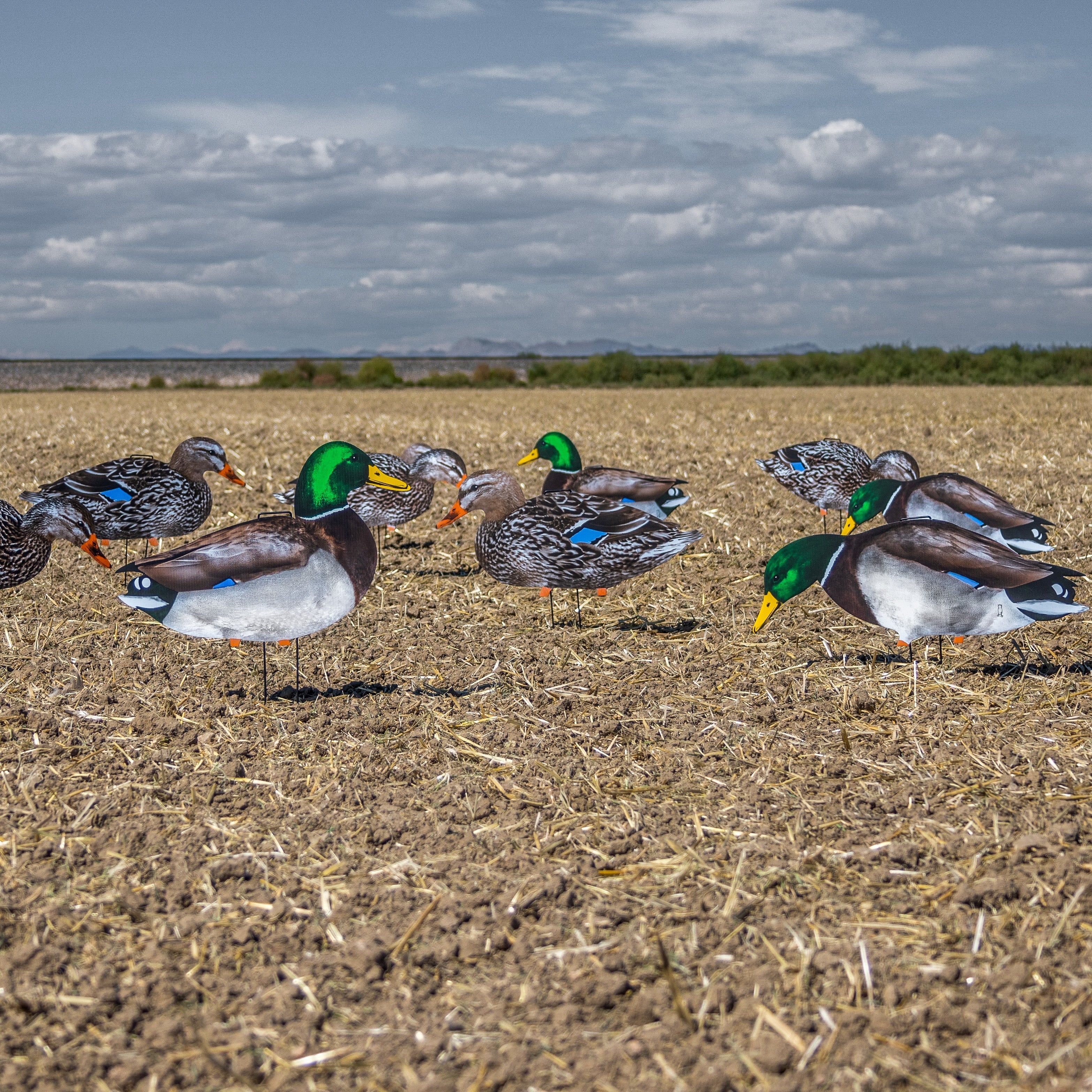 M1 Mallard Silhouettes - Image 4