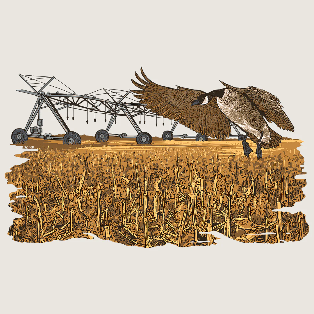 Dive Bomb Shirt of the Month Subscription - Image 3