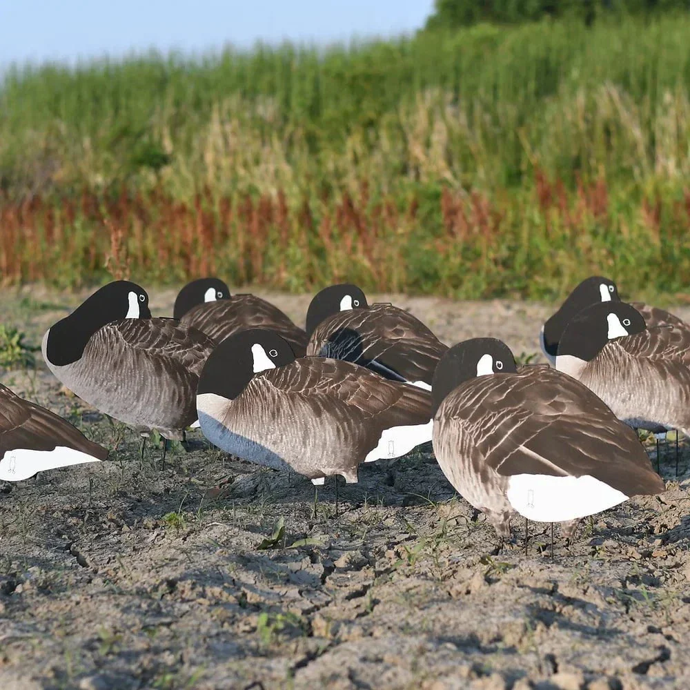 V2 Sleeper Canada Goose Silhouettes - Image 3