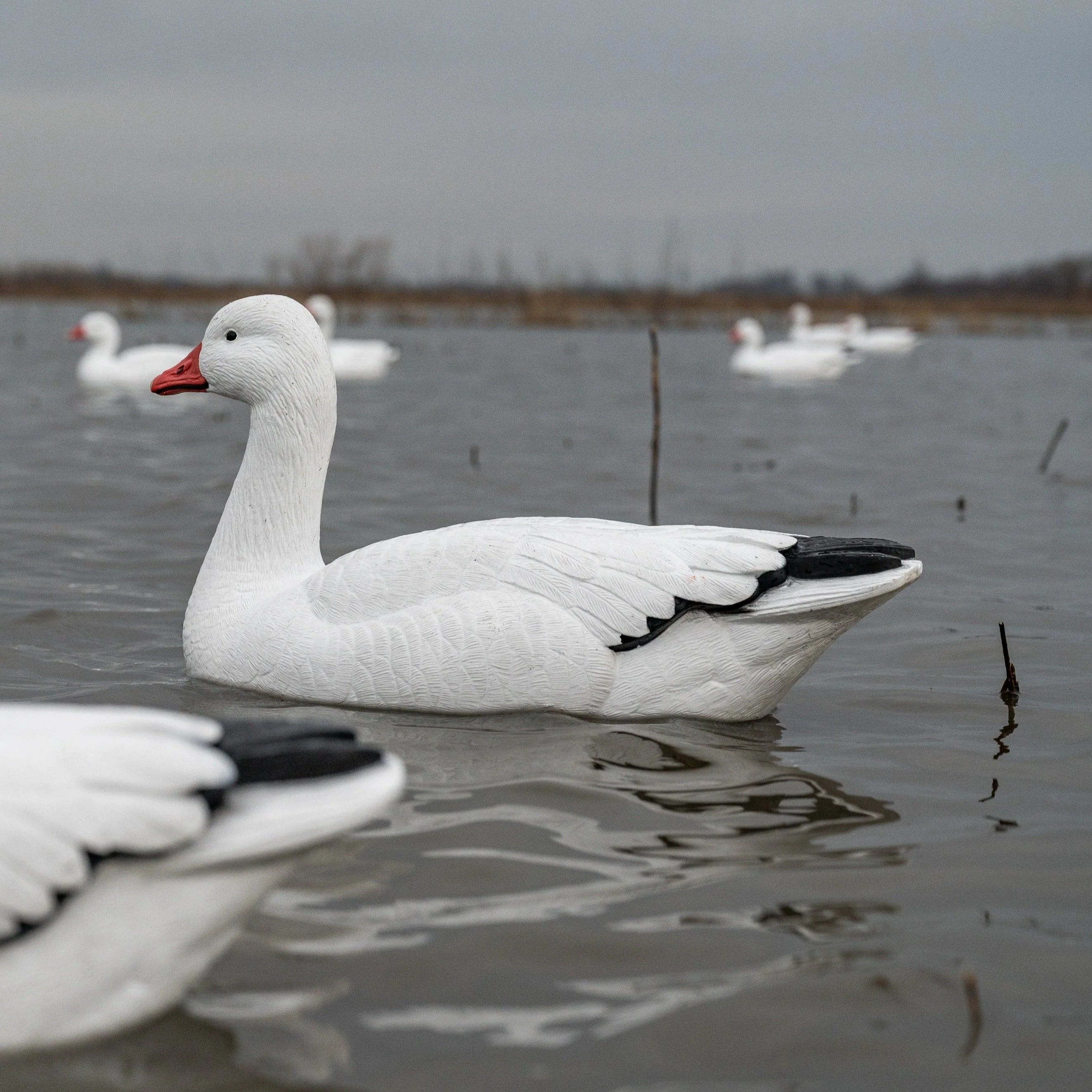 F1 Snow Goose Floaters - Image 2