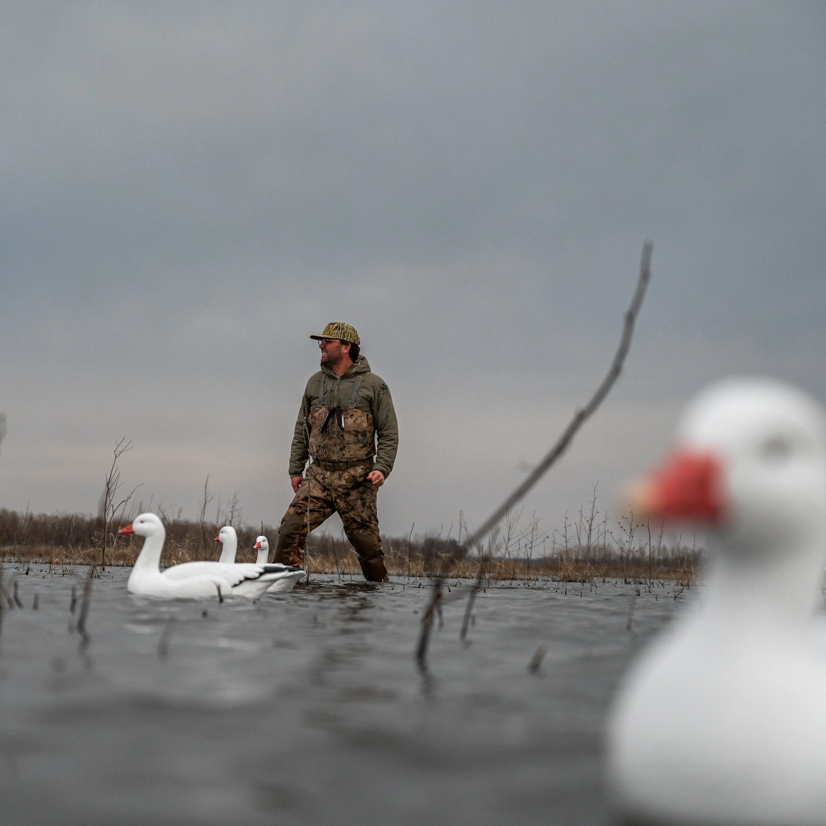 F1 Snow Goose Floaters - Image 3