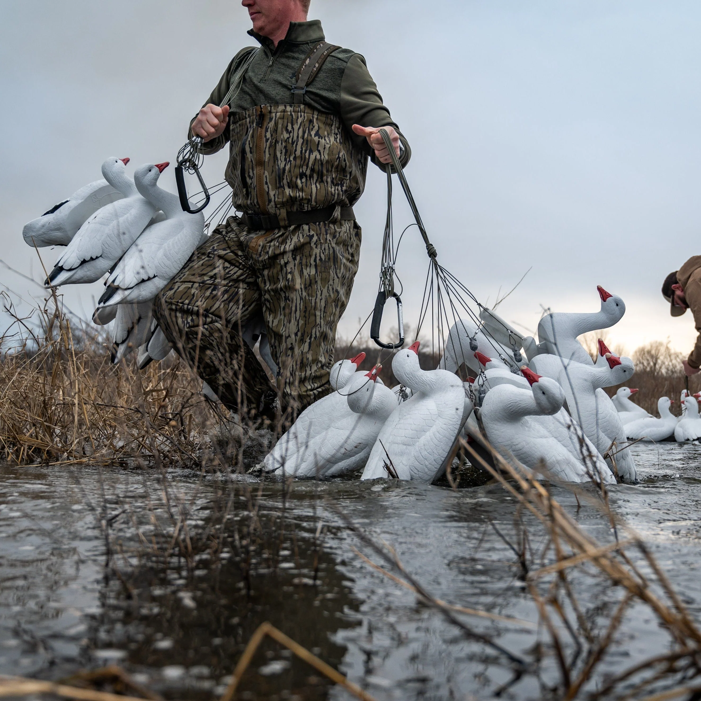 F1 Snow Goose Floaters - Image 5