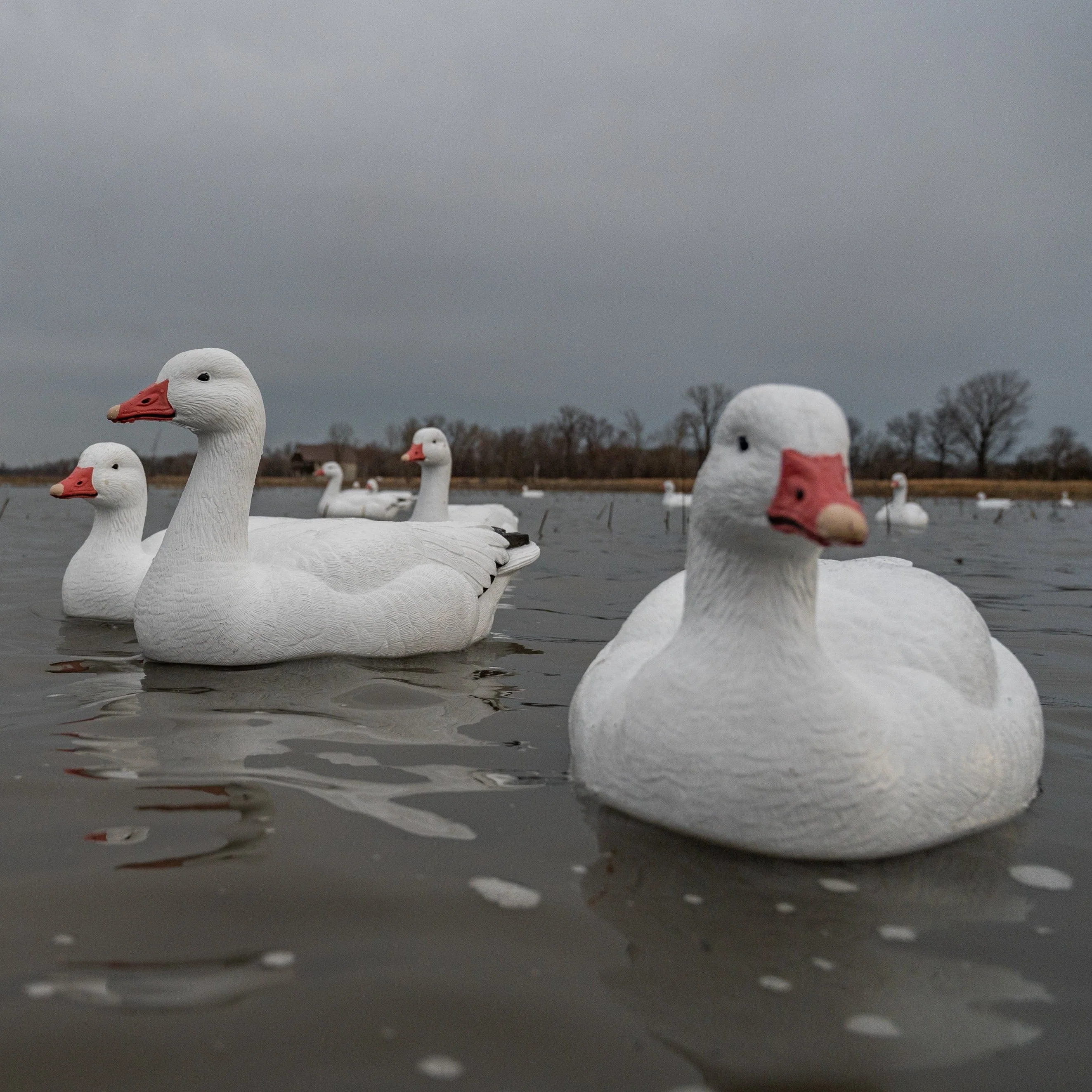 F1 Snow Goose Floaters - Image 6