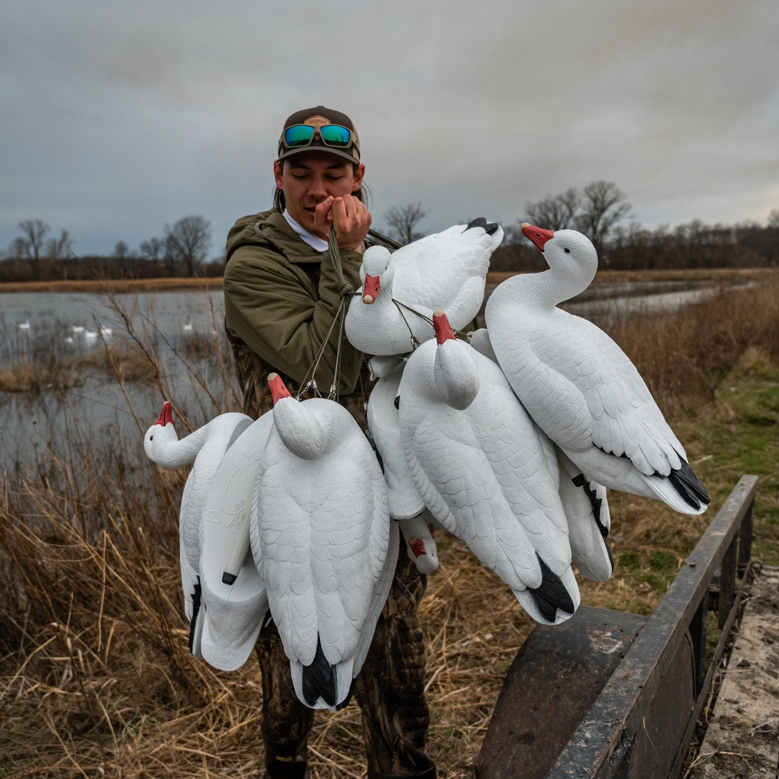 F1 Snow Goose Floaters - Image 8