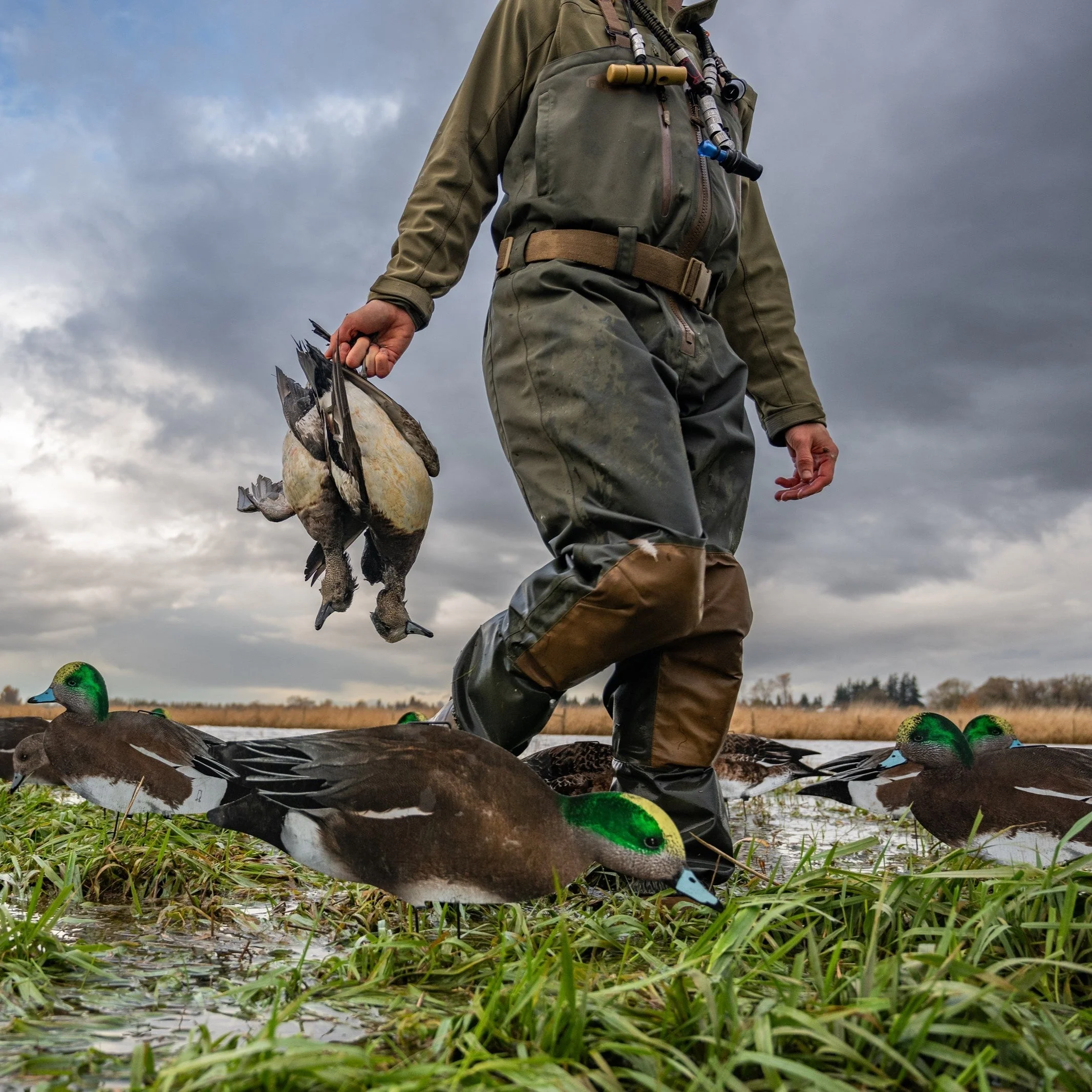 W1 Wigeon Silhouettes - Image 2