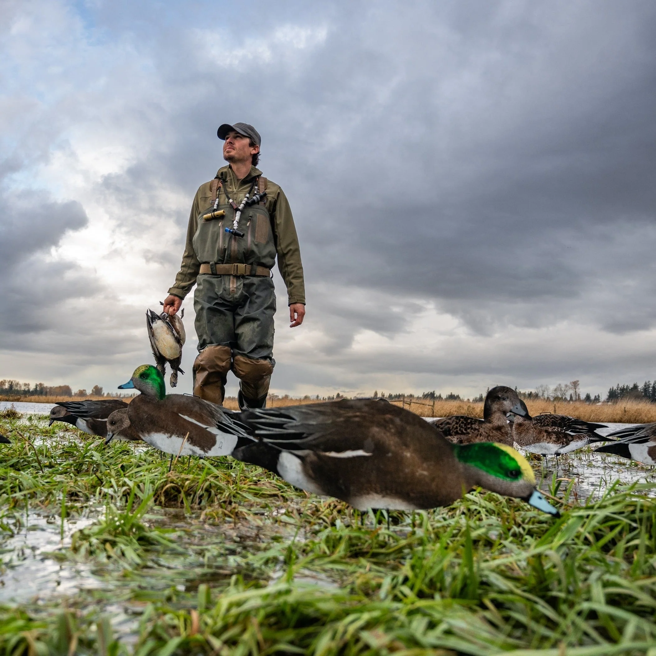 W1 Wigeon Silhouettes - Image 3
