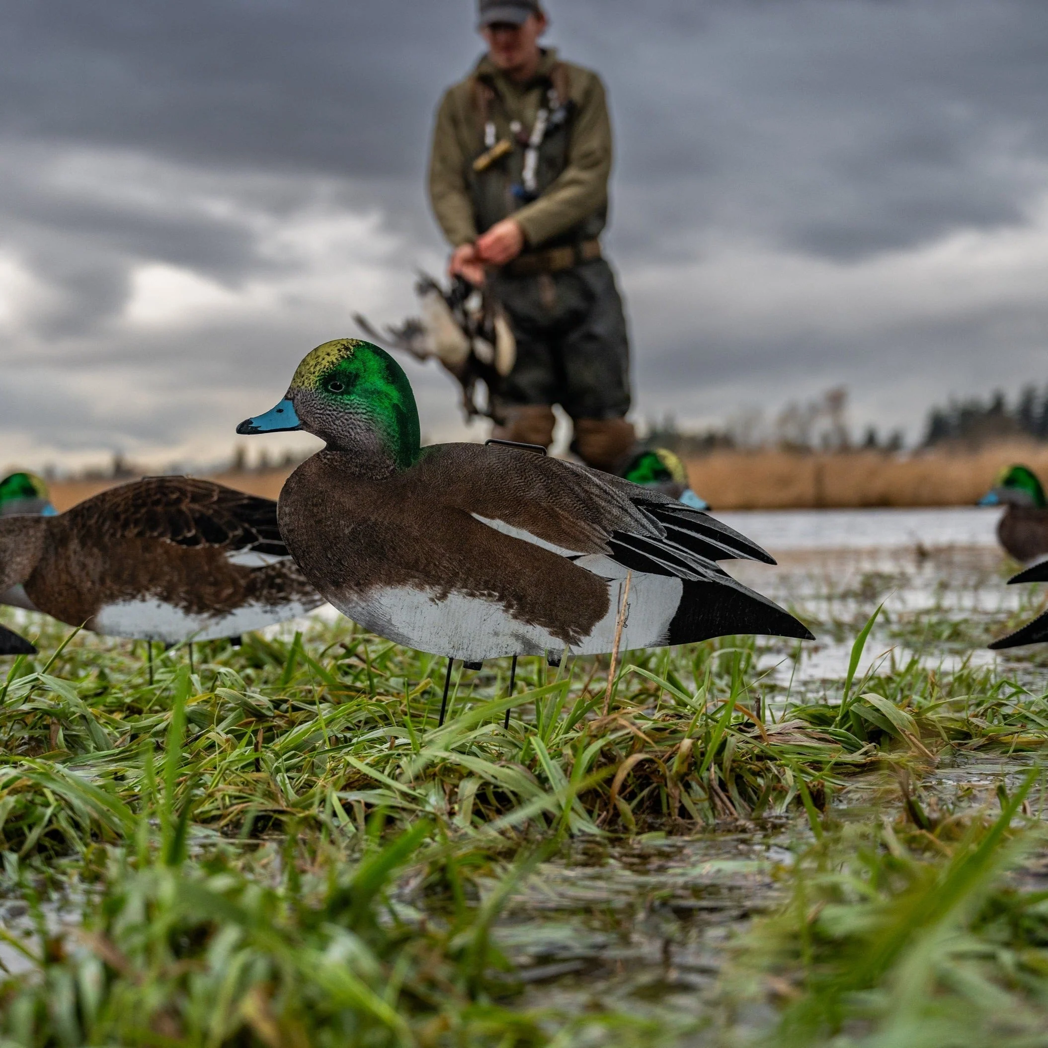 W1 Wigeon Silhouettes - Image 4
